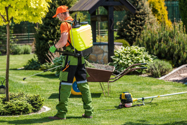 Best Lawn Pest Control  in Rmel Valley Village, CA